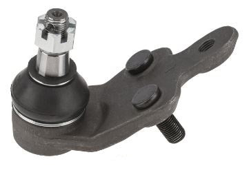 AA1208 تخم طوبه اسفل افلون