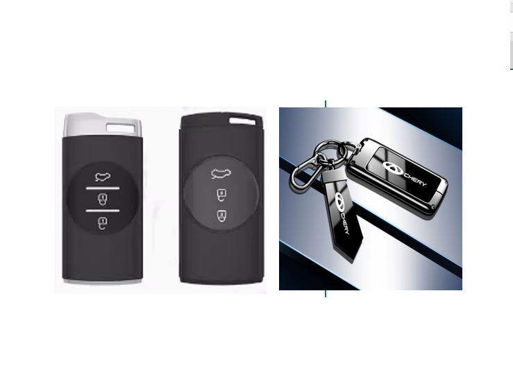 TPU 01 غلاف بصمة شيري